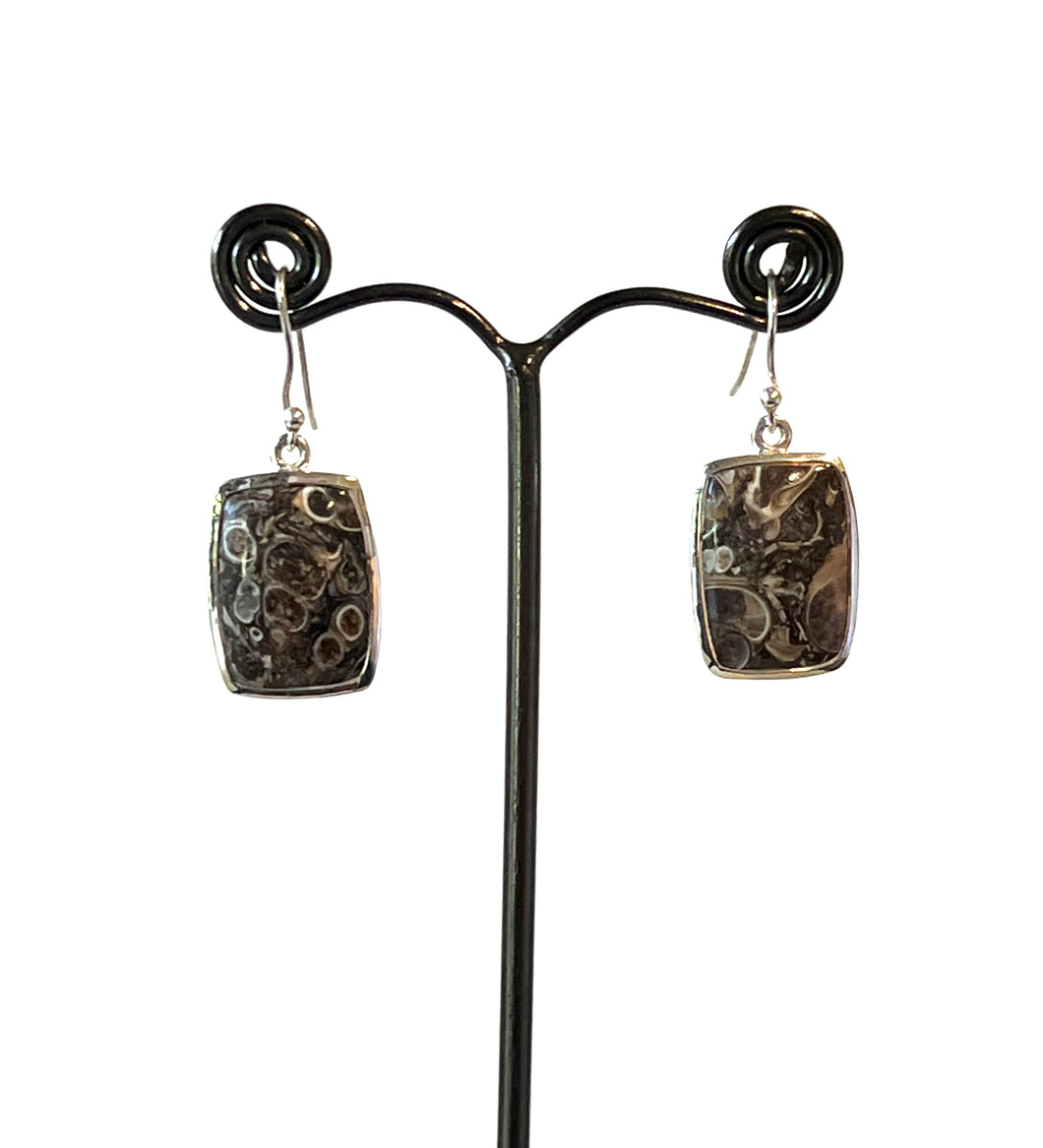 Brown Earrings with Turritella Agate Set in Sterling Silver
