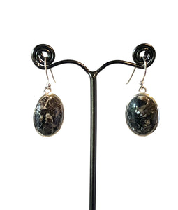 Brown Earrings with Turritella Agate Set in Sterling Silver